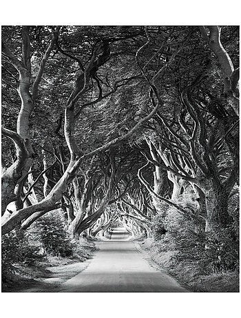 Papier peint panoramique - forevenue - taille: 250 x 280 cm
