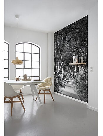 Papier peint panoramique - forevenue - taille: 250 x 280 cm