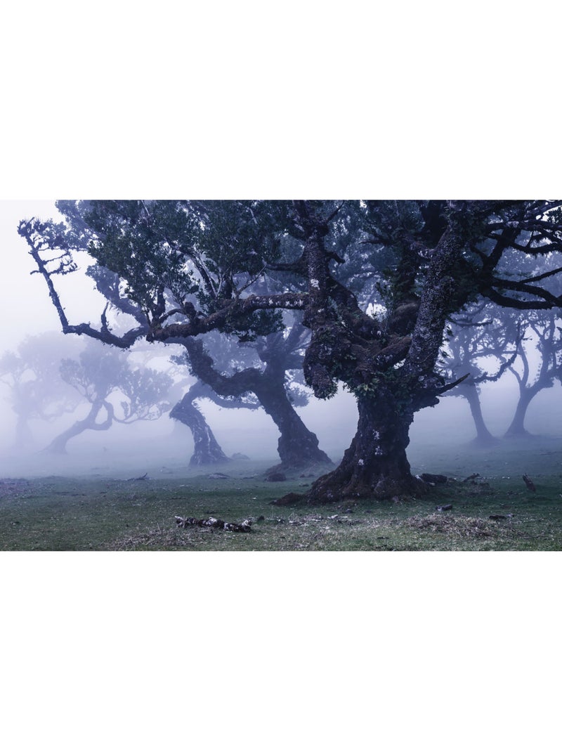 Papier peint panoramique - ghost line - taille: 400 x 250 cm Multicolore - Kiabi