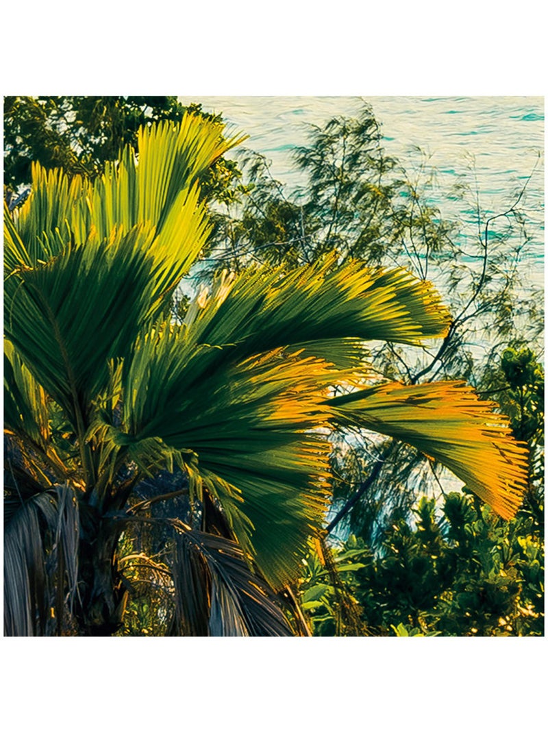 Papier peint panoramique - golden air - taille: 450 x 280 cm Multicolore - Kiabi