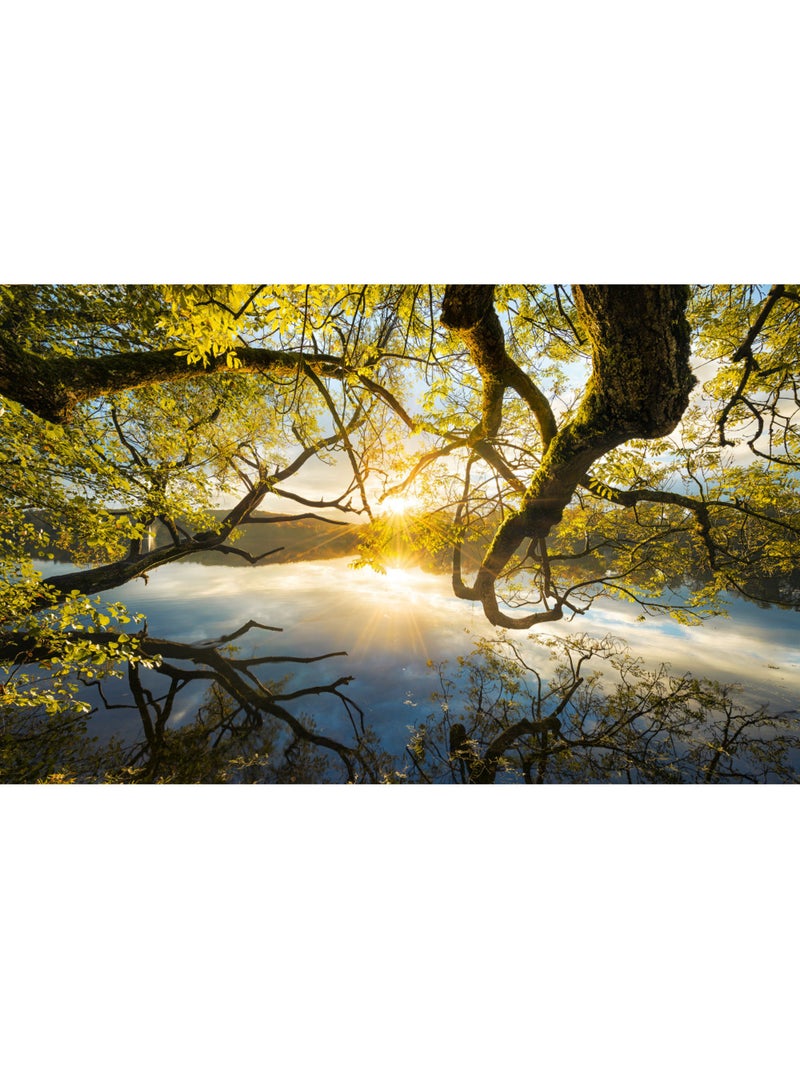 Papier peint panoramique - golden embrace - taille: 400 x 250 cm Multicolore - Kiabi