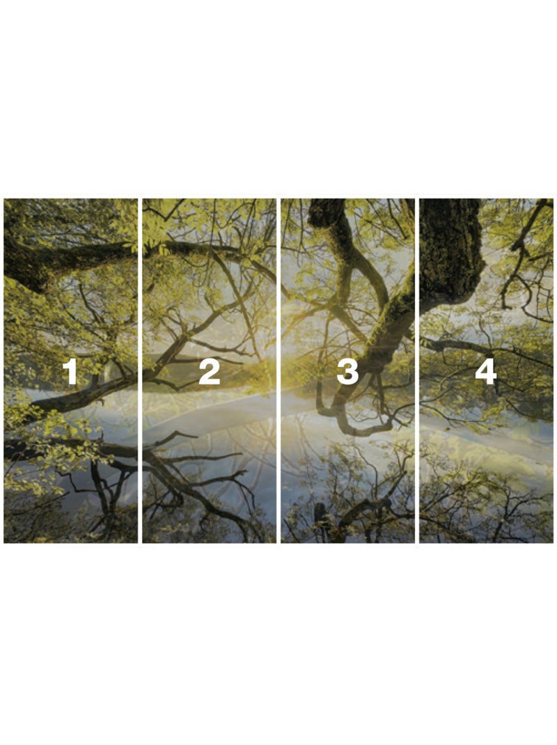 Papier peint panoramique - golden embrace - taille: 400 x 250 cm Multicolore - Kiabi