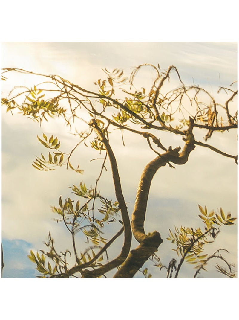 Papier peint panoramique - golden embrace - taille: 400 x 250 cm Multicolore - Kiabi