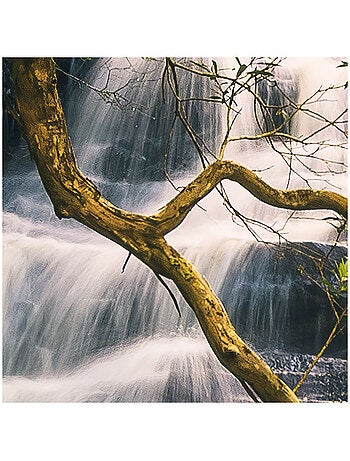 Papier peint panoramique - golden falls - taille: 450 x 280 cm
