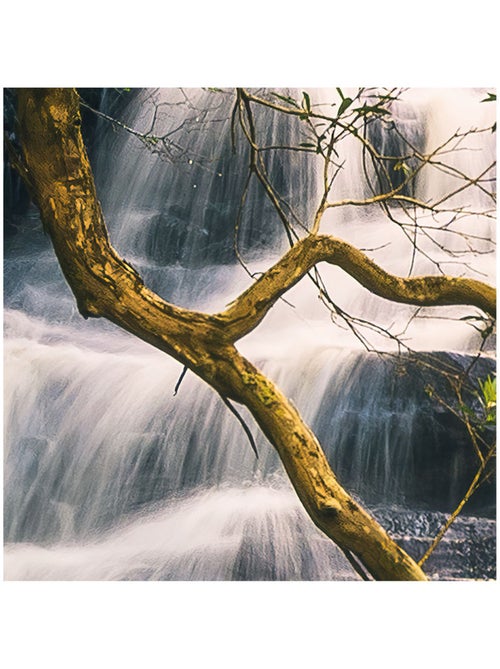 Papier peint panoramique - golden falls - taille: 450 x 280 cm - Kiabi