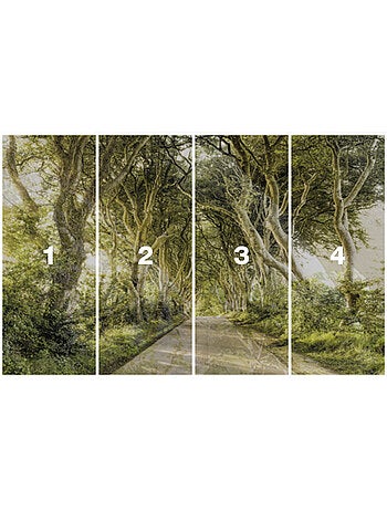 Papier peint panoramique - golden hedges - taille: 400 x 250 cm