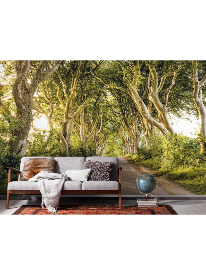 Papier peint panoramique - golden hedges - taille: 400 x 250 cm Multicolore - Kiabi