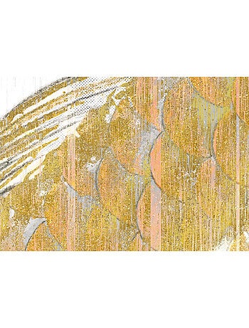 Papier peint panoramique - golden koi - taille: 400 x 280 cm