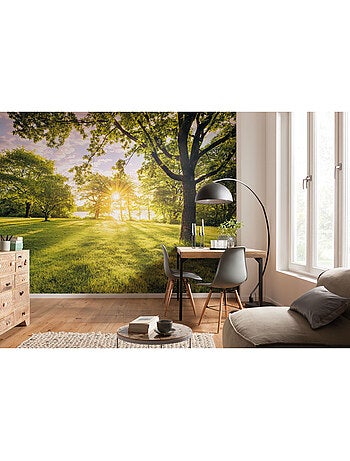 Papier peint panoramique - golden moment - taille: 400 x 250 cm