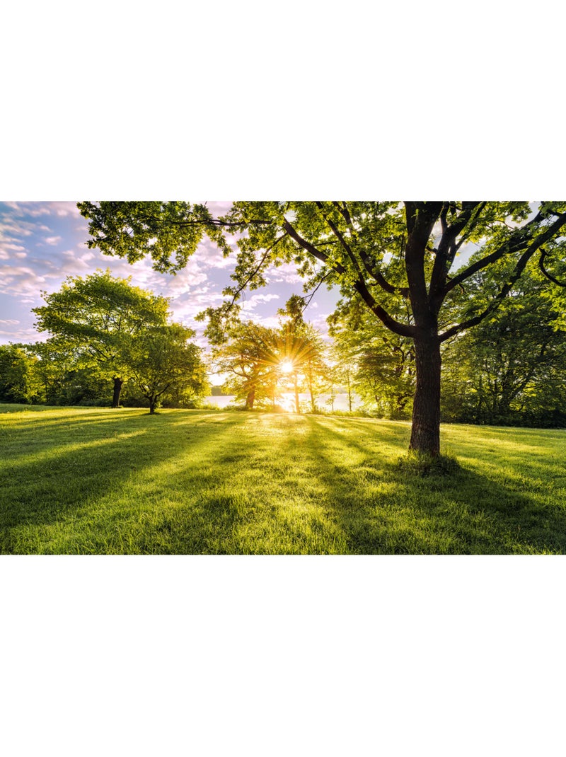 Papier peint panoramique - golden moment - taille: 400 x 250 cm Multicolore - Kiabi