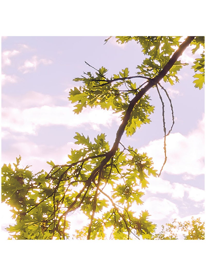 Papier peint panoramique - golden moment - taille: 400 x 250 cm Multicolore - Kiabi