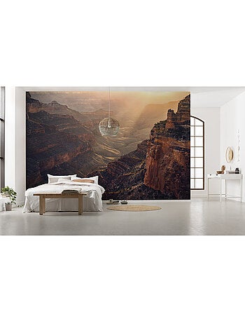 Papier peint panoramique - grand wonder - taille: 450 x 280 cm
