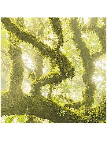 Papier peint panoramique - green fire - taille: 400 x 250 cm