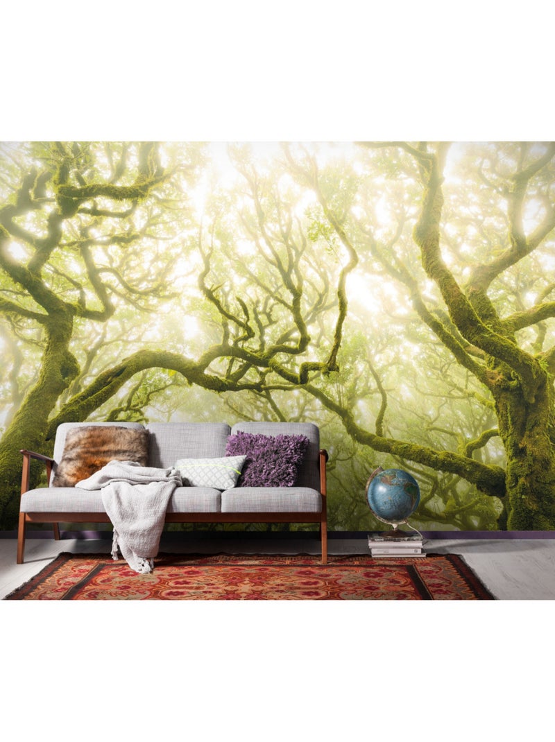 Papier peint panoramique - green fire - taille: 400 x 250 cm Multicolore - Kiabi
