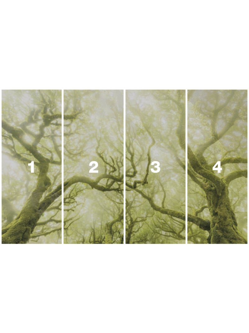 Papier peint panoramique - green fire - taille: 400 x 250 cm Multicolore - Kiabi