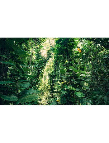 Papier peint panoramique - green leaves - taille: 450 x 280 cm