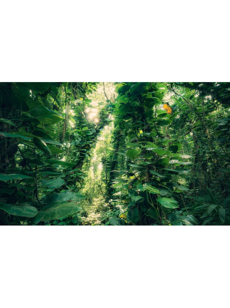 Papier peint panoramique - green leaves - taille: 450 x 280 cm Multicolore - Kiabi