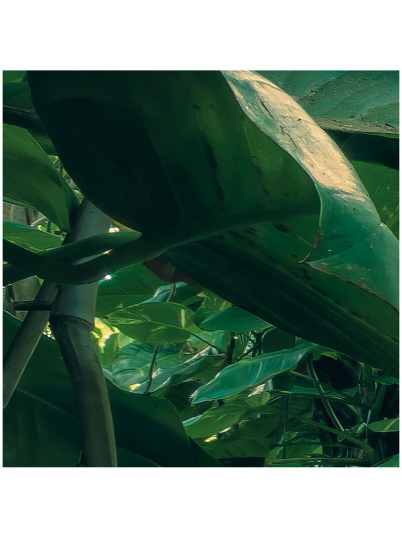 Papier peint panoramique - green leaves - taille: 450 x 280 cm Multicolore - Kiabi
