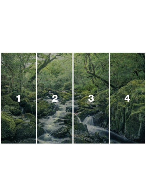 Papier peint panoramique - green tales - taille: 400 x 250 cm - Kiabi