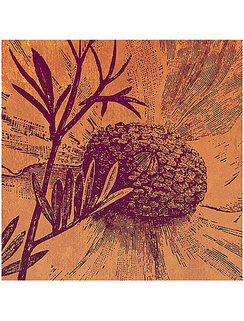 Papier peint panoramique - harvest - taille: 200 x 280 cm