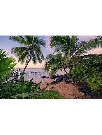 Papier peint panoramique - hawaiian dreams - taille: 450 x 280 cm