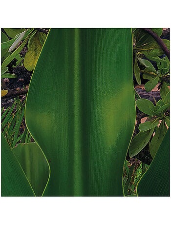 Papier peint panoramique - hawaiian dreams - taille: 450 x 280 cm