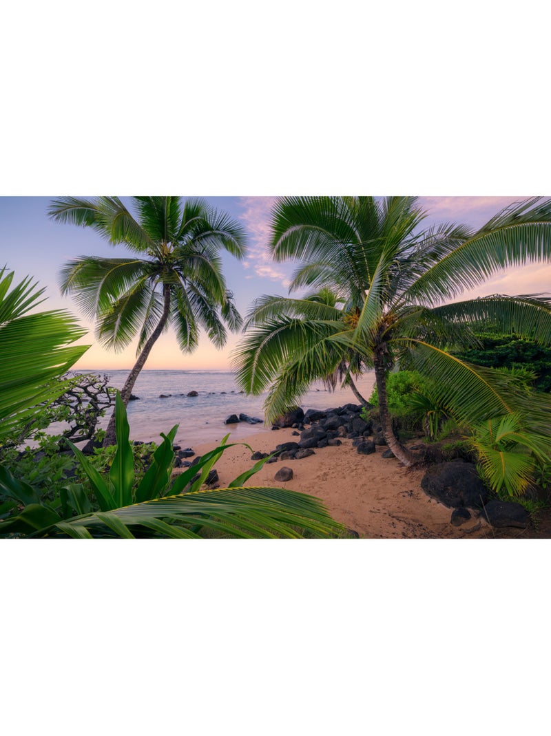 Papier peint panoramique - hawaiian dreams - taille: 450 x 280 cm Multicolore - Kiabi