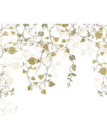 Papier peint panoramique - hedera - taille: 300 x 280 cm