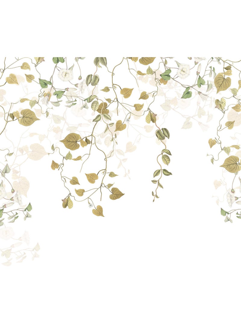 Papier peint panoramique - hedera - taille: 300 x 280 cm Multicolore - Kiabi