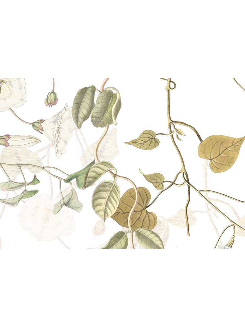 Papier peint panoramique - hedera - taille: 300 x 280 cm Multicolore - Kiabi