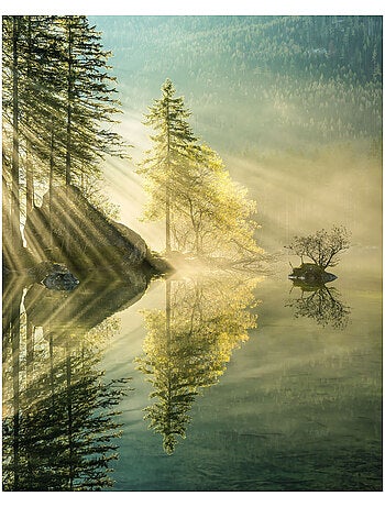 Papier peint panoramique - indulgence of beauty - taille: 200 x 250 cm