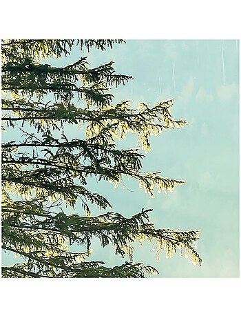 Papier peint panoramique - indulgence of beauty - taille: 200 x 250 cm