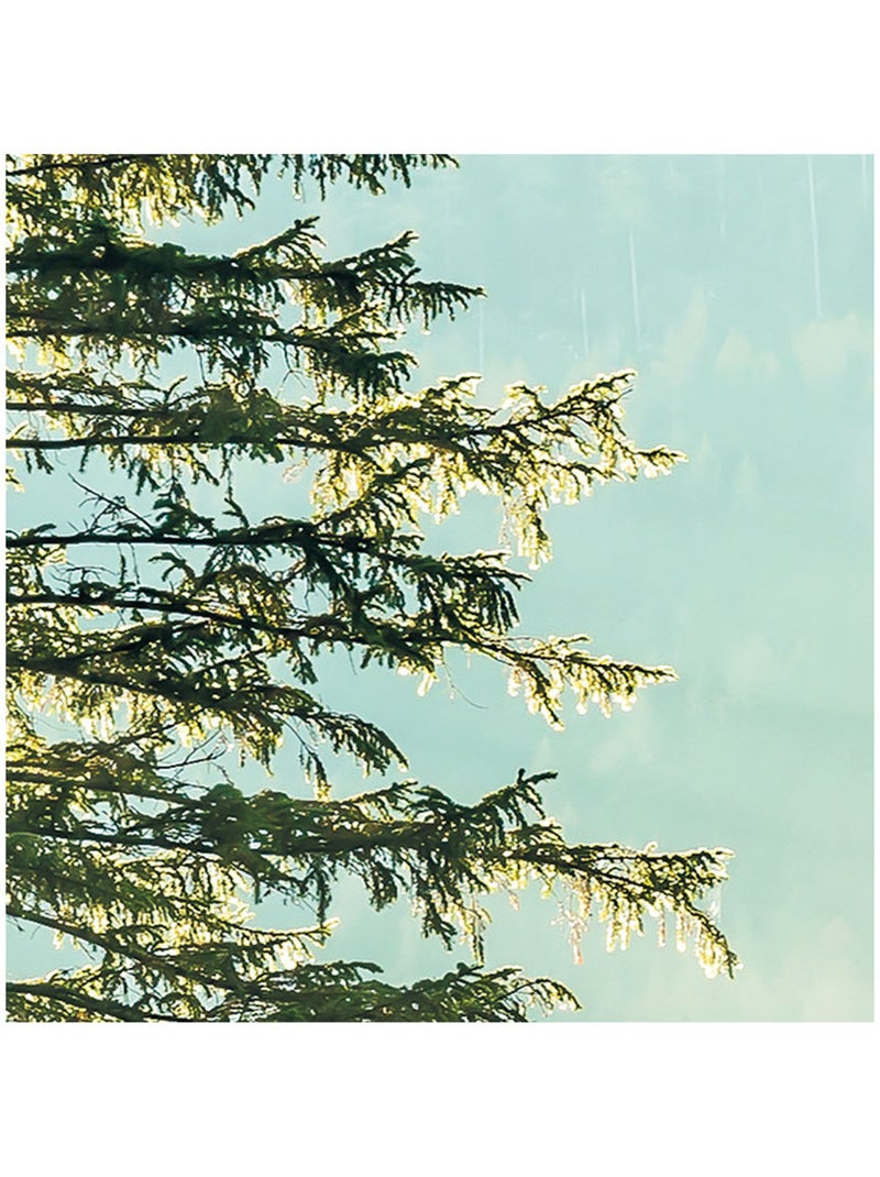 Papier peint panoramique - indulgence of beauty - taille: 200 x 250 cm Multicolore - Kiabi