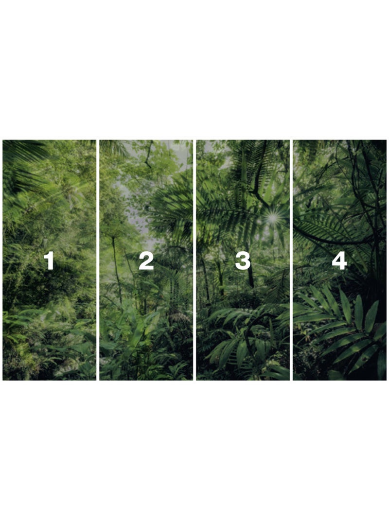 Papier peint panoramique - into the jungle - taille: 400 x 250 cm Multicolore - Kiabi
