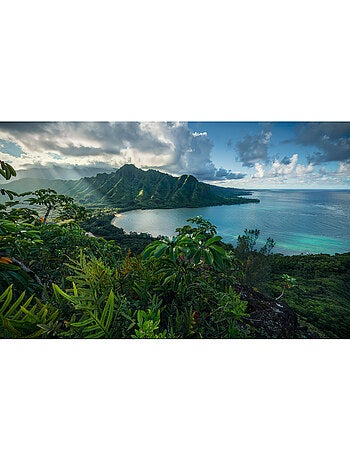 Papier peint panoramique - jurassic island - taille: 450 x 280 cm