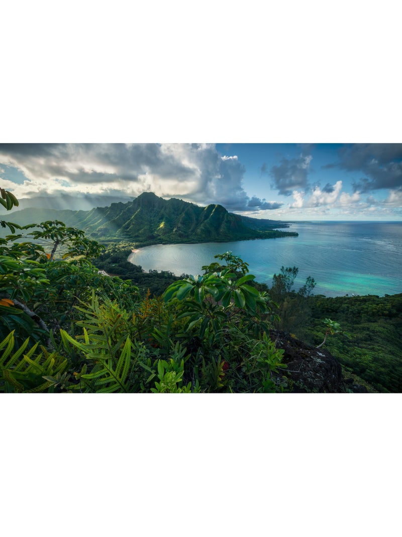 Papier peint panoramique - jurassic island - taille: 450 x 280 cm Multicolore - Kiabi