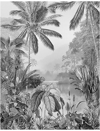 Papier peint panoramique - lac tropical black & white - taille: 200 x 270 cm