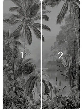 Papier peint panoramique - lac tropical black & white - taille: 200 x 270 cm