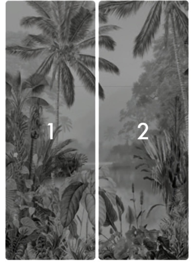 Papier peint panoramique - lac tropical black & white - taille: 200 x 270 cm Multicolore - Kiabi