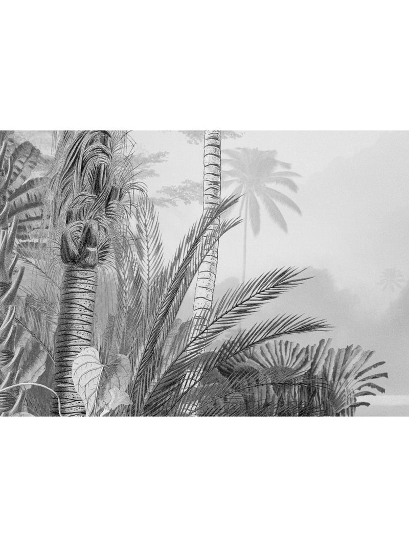 Papier peint panoramique - lac tropical black & white - taille: 200 x 270 cm Multicolore - Kiabi