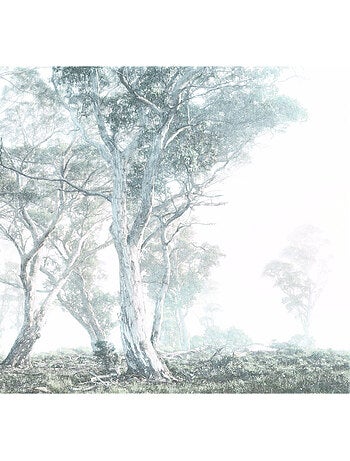 Papier peint panoramique - magic trees - taille: 300 x 280 cm