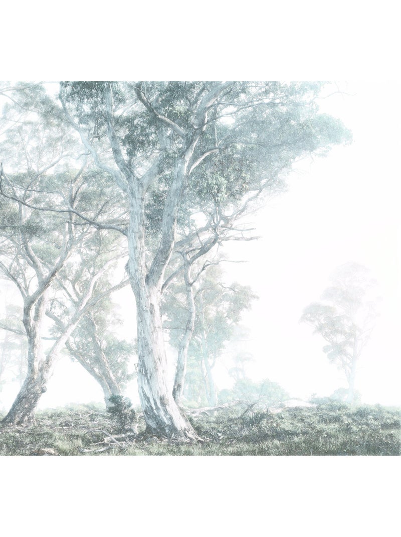 Papier peint panoramique - magic trees - taille: 300 x 280 cm Multicolore - Kiabi