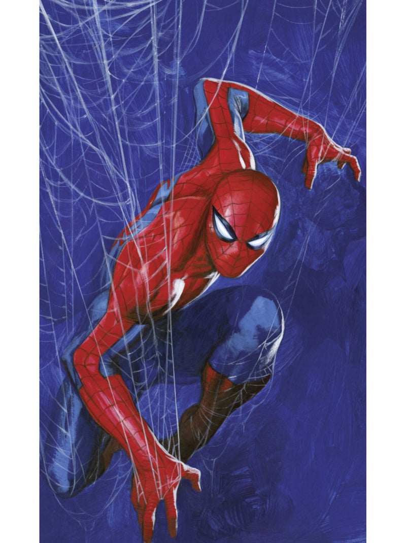 Papier peint panoramique - marvel spider-man spider web - taille: 150 x 250 cm Multicolore - Kiabi