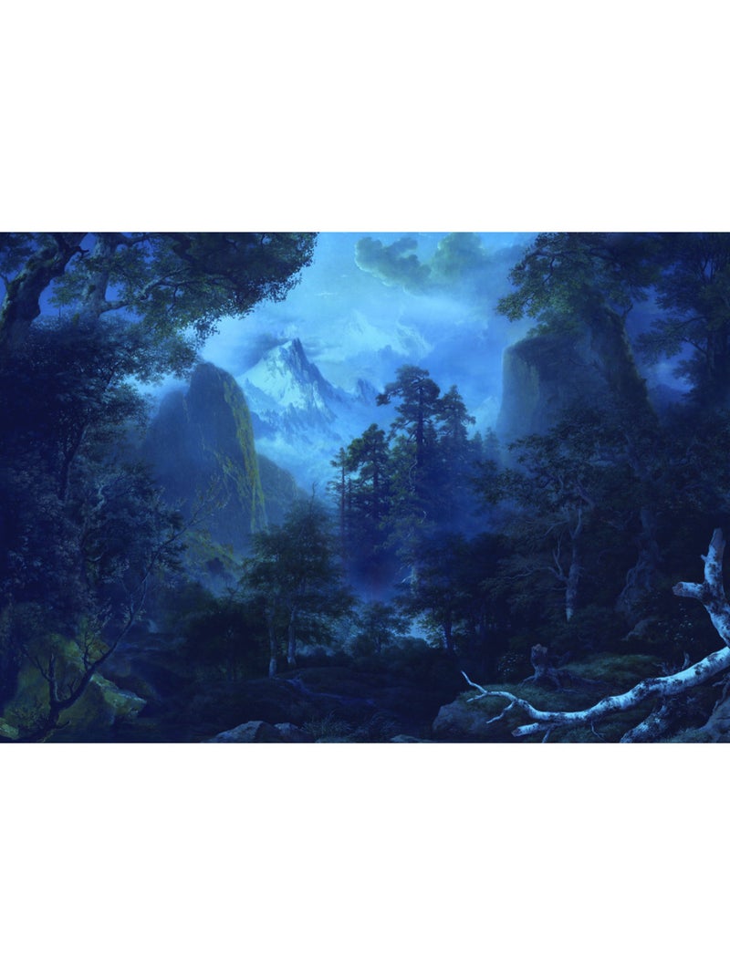 Papier peint panoramique - midnight - taille: 400 x 280 cm Multicolore - Kiabi