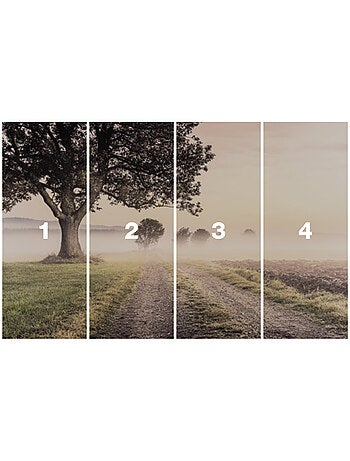 Papier peint panoramique - misty morning - taille: 400 x 250 cm