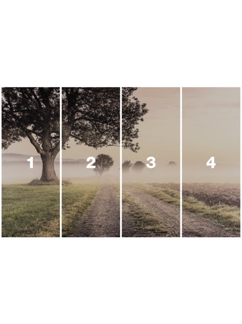 Papier peint panoramique - misty morning - taille: 400 x 250 cm - Kiabi
