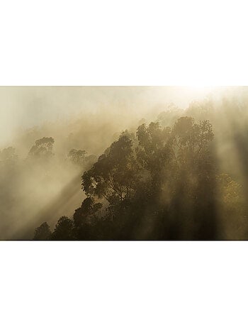 Papier peint panoramique - misty mountain - taille: 400 x 250 cm