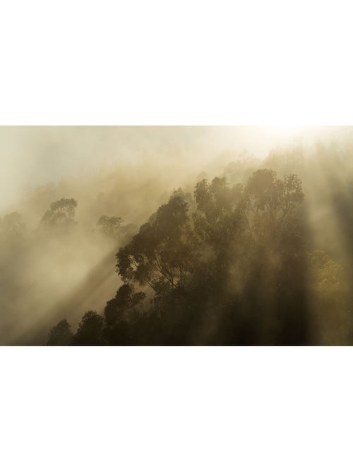 Papier peint panoramique - misty mountain - taille: 400 x 250 cm - Kiabi