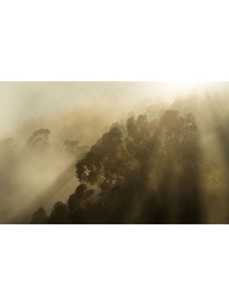 Papier peint panoramique - misty mountain - taille: 400 x 250 cm Multicolore - Kiabi