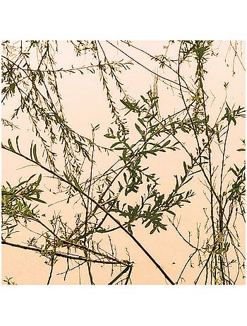 Papier peint panoramique - morning view ii - taille: 400 x 250 cm